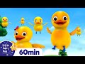Five Little Ducks More Nursery Rhymes And Kids Songs Little Baby Bum