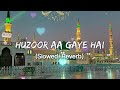 Huzoor AA Gaye Hain Slowed Reverb Falak Ke Nazaro Lofi Naat