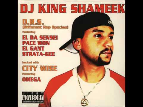DJ KING SHAMEEK - Different Rap Species ft El Da Sensei, El Gant, Strata-Gee, & Pace Won, ,