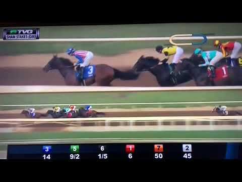 SHAM S, (G 3)STAKES $100,000 1/6/18 - MCKINZIE !!!