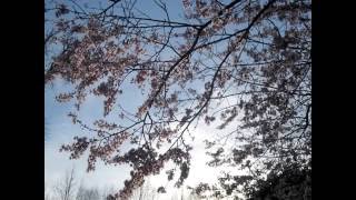 Maledetta primavera