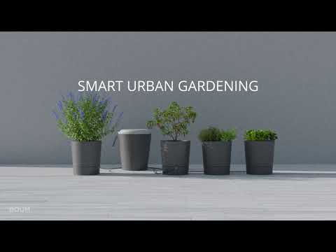 Die Boum Bewässerung