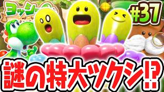 背が高すぎるツクシの秘密とは!?謎がいっぱいのつくしんぼを調査せよ!!Switch2で最速実況Part37【ヨッシーとフカシギの図鑑】