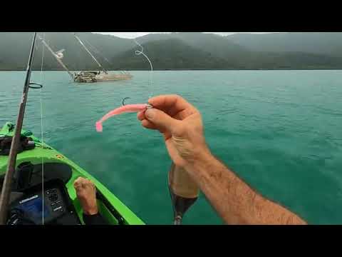 Solo Hootchie camping on mini island   Kayaking   Beach Shark fishing    3