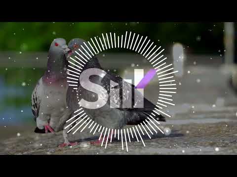 StaffOnly & Jahmal TGK - Над крышами | 2023