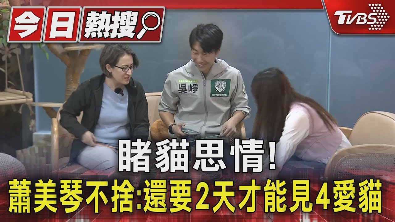 睹貓思情! 蕭美琴不捨:還要2天才能見4愛貓