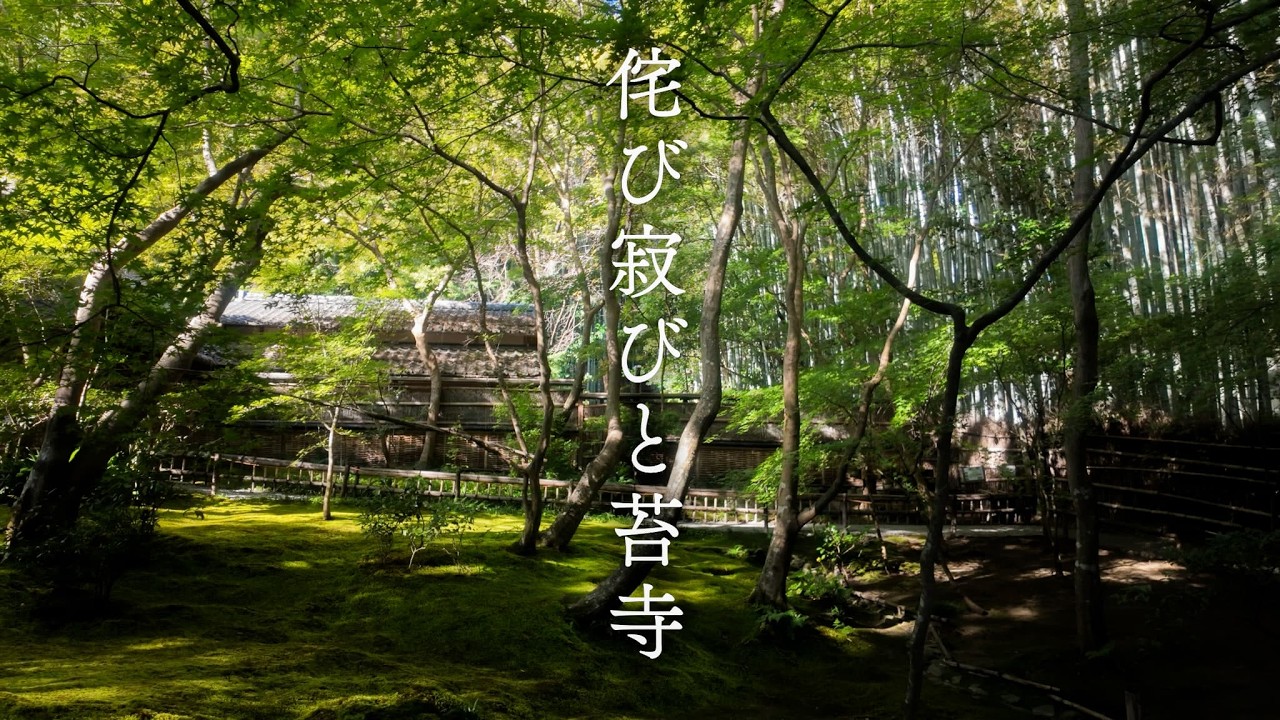 京都 侘び寂びと苔寺 | Moss and Wabi-Sabi Gardens in Kyoto