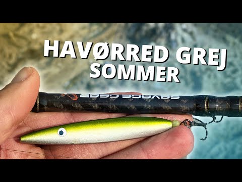 Best Summer Lures For Sea Trout Fishing? - Beginners Tips!
