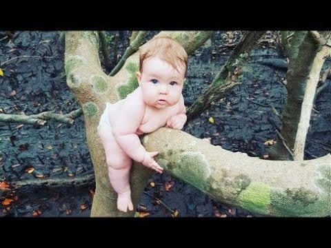Funniest Babies Make Naughty Actions-Naughty Babies Making Trouble - Best Funny Fails
