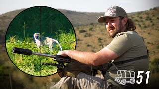 Download lagu MANUSIA vs MONYET: Perburuan Solo untuk Babon, Monyet Vervet & Hyrax! | Catatan Harian Gerobak Sapi, Bagian 51 mp3