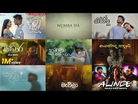 Dilu beats best song collection | Dilu Beats | තනියම ඉද්දි අහන්න #manoparakata #song #dilubeats