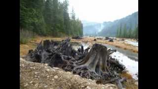 preview picture of video 'Canyon Creek Tailing Dam'