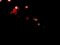 Grand Buffet, MURDERFUCK, Live