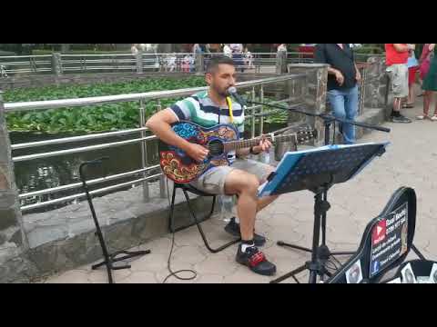 Eagles - Hotel California ( cover by Raul Bochis )