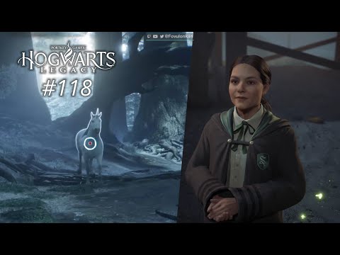 HL#118 | Einhornrettung und ein Besenrennen gegen Imelda | Hogwarts Legacy LP