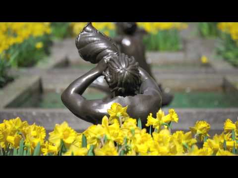 Nick the nightfly  A Wonderful life