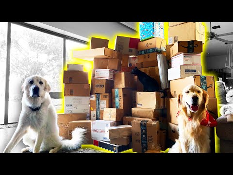 OUR BIGGEST PO BOX OPENING YET (Super Cooper Sunday #228)