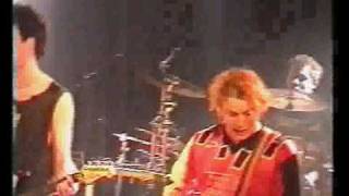 The Wohlstandskinder   Und Mehr Noch VIDEO