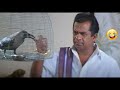 Brahmanandam Superb B2B Comedy Scenes Telugu Latest Comedy Scenes IDream