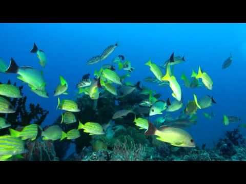 Andamanen, Andamanen Inseln,Indien