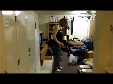 STOP HORSING AROUND!!!