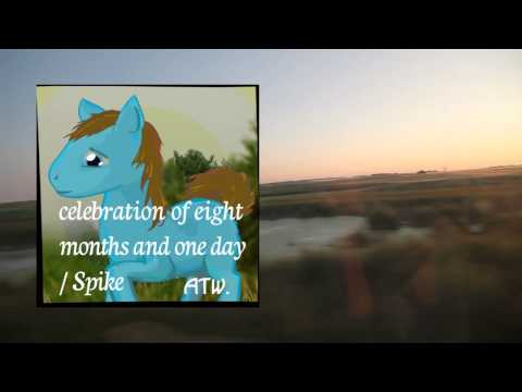 Celebration of eight months and one day / Spike