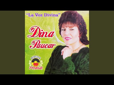 Mi Propuesta (Amor Amor)