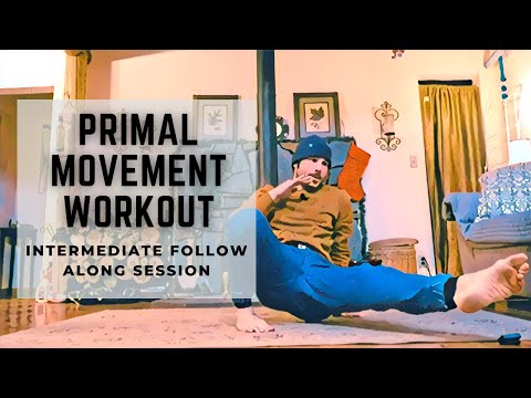 Primal Movement Workout - Bodyweight Strength Training (Intermediate Follow Along)