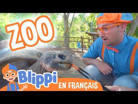 Blippi visite un zoo - Blippi en français | Vidéos éducatives pour les enfants