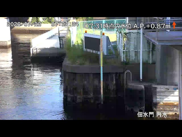 佃水門 内水側