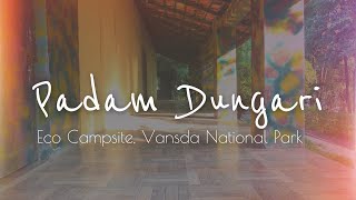 preview picture of video 'Padam Dungari Eco Campsite, Vansada National Park | 24 12 2017 #PadamDungari #Campsite'