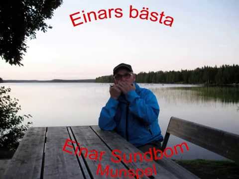 Einar Sundbom - Flyttfåglarna
