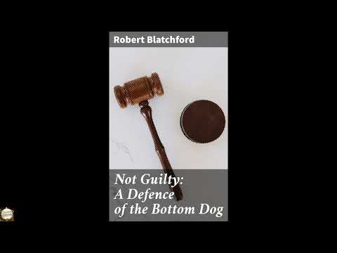 Not Guilty: A Defence of the Bottom Dog: Championing the Innocent: A Call for Socia by Unknown — free full audiobook