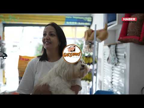 Gargamel Pet Shop: Beylikdüzü’nde Hayvan Sevgisiyle Büyüyen Bir İşletme