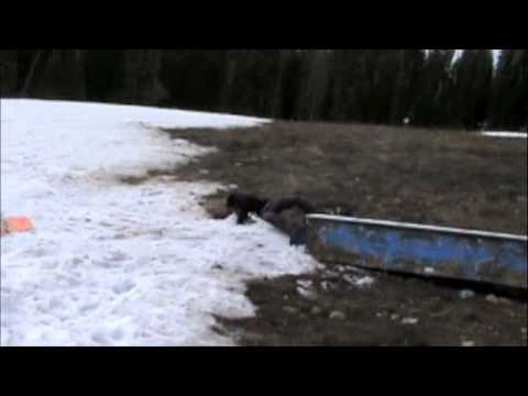 erik nielsen falling like a champ 3