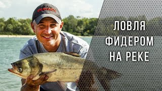 Ловля весной фидером на реке дон