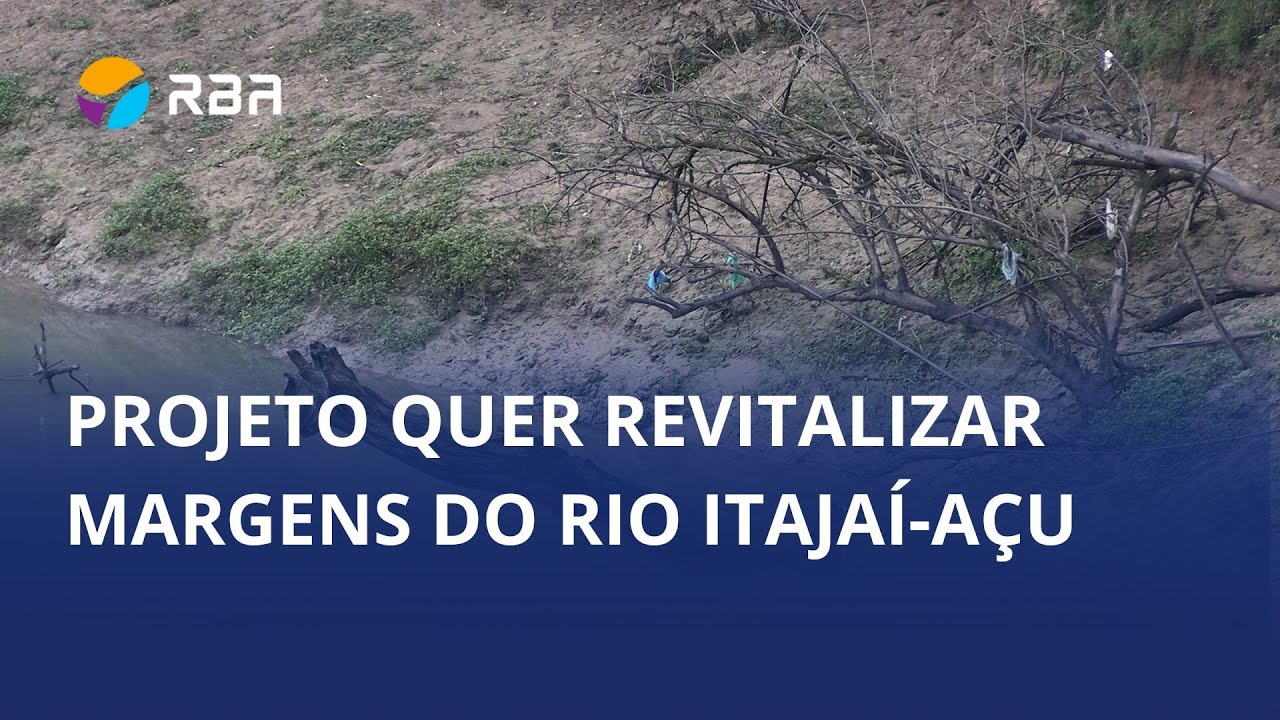 Projeto para remover árvores exóticas do Rio Itajaí-Açu será apresentado à comunidade