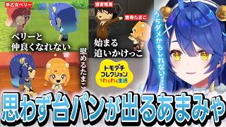 【トモコレ】早乙女ベリーと仲良くなれず13歳に慰めてもらうあみゃみゃ/急に始まる酒寄颯馬と雲母たまこの追いかけっこ【切り抜き/天宮こころ/にじさんじ】