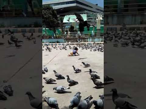 Risheek in Hyderabad