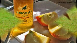 Thea Gilmore - &quot;I&#39;ll Remember You&quot;