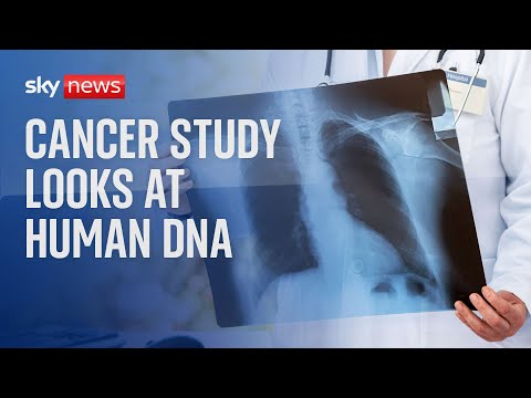 Ancient viruses in human DNA could help fight cancer