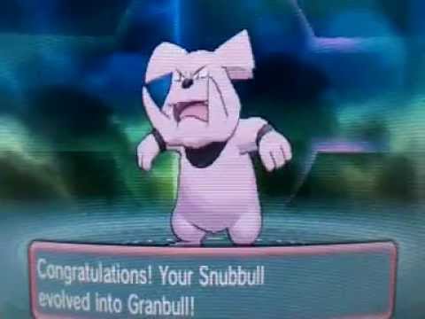 Pokemon Omega Ruby And Alpha Sapphire Snubbull evolve into Granbull