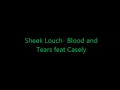 Sheek Louch- Blood and Tears feat Casely