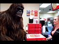 Bigfoot Daily Vlogs Vlog 26 PIZZA S For The Homeless