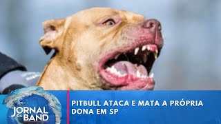 Download lagu Pitbull ataca e mata a própria dona em São Paulo  | Jornal da Band mp3