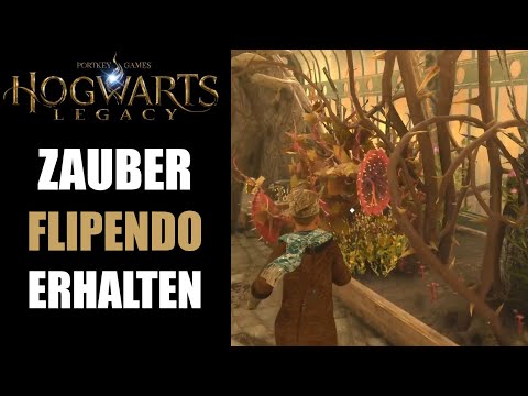 Hogwarts Legacy Flipendo Spell obtained - Mandrake Tentacula and Chewy Cabbage obtained