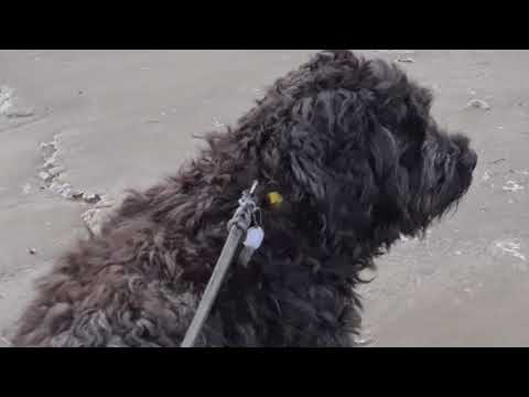 VISIT NORWAY @RISØBANK /LORD SALVESEN HOUSE  MANDAL NORWAY