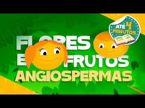 🌼 FLORES E FRUTOS: ANGIOSPERMA 👩‍🏫 Para sala de aula l Aprenda com Luna - O Show da Luna!