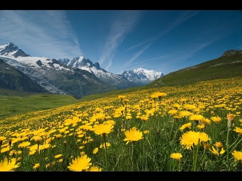 Solid Stone - Delivered (Boxer Remix)