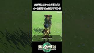 コログのタックルでイーガ団を吹っ飛ばすリンクｗｗ【ゼルダの伝説 ティアーズ オブ ザ キングダム】